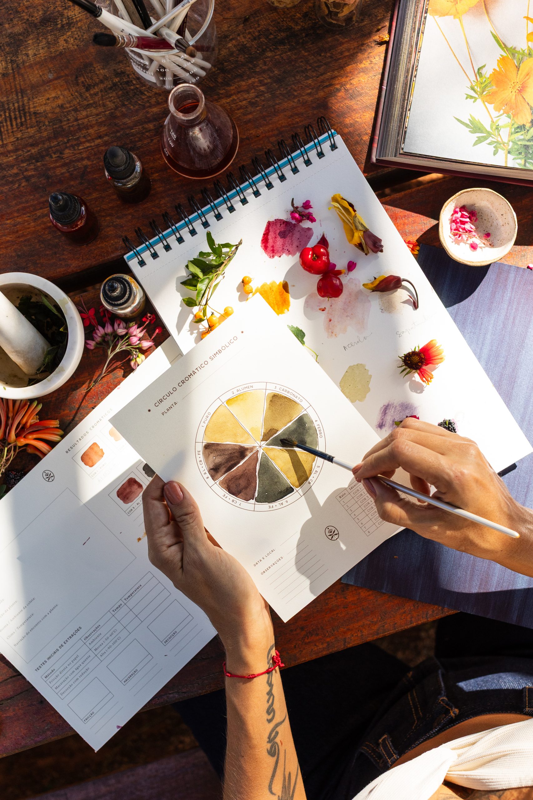 1N8A7411 Curso online ao vivo - Laboratório de Cartografia da Cor - Imagem 1